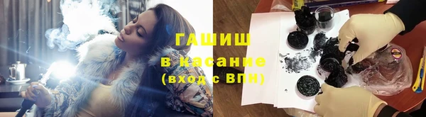 МДПВ Пересвет
