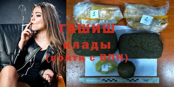 МДПВ Пересвет