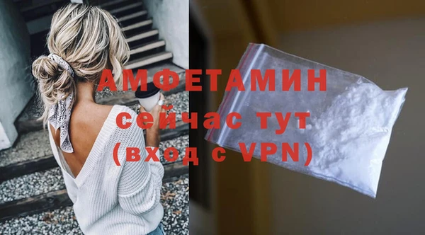 МДПВ Пересвет