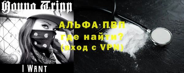 МДПВ Пересвет